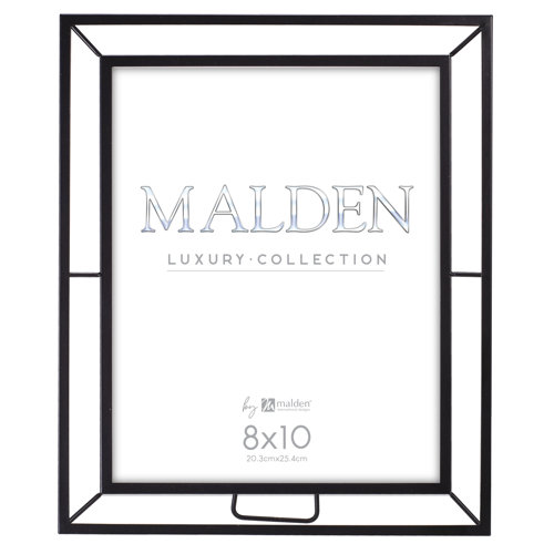 Malden Metal Picture Frame Wayfair